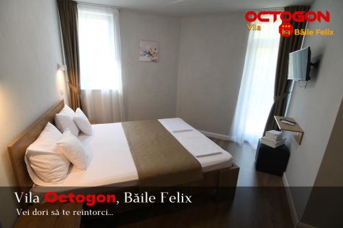 Vila Octogon, Băile Felix