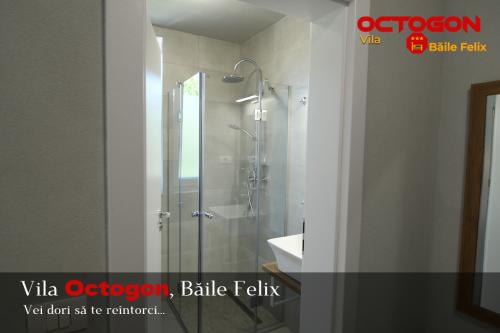 Vila Octogon, Băile Felix