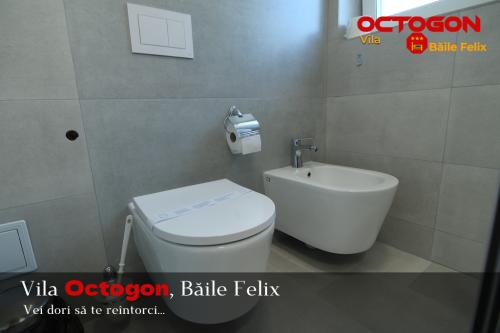 Vila Octogon, Băile Felix